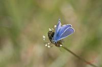 Cjp_2008_07_13_152849 (2).jpg